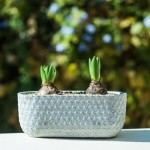 Keramični lonec Rustic posoda 46.004 - 31 cm